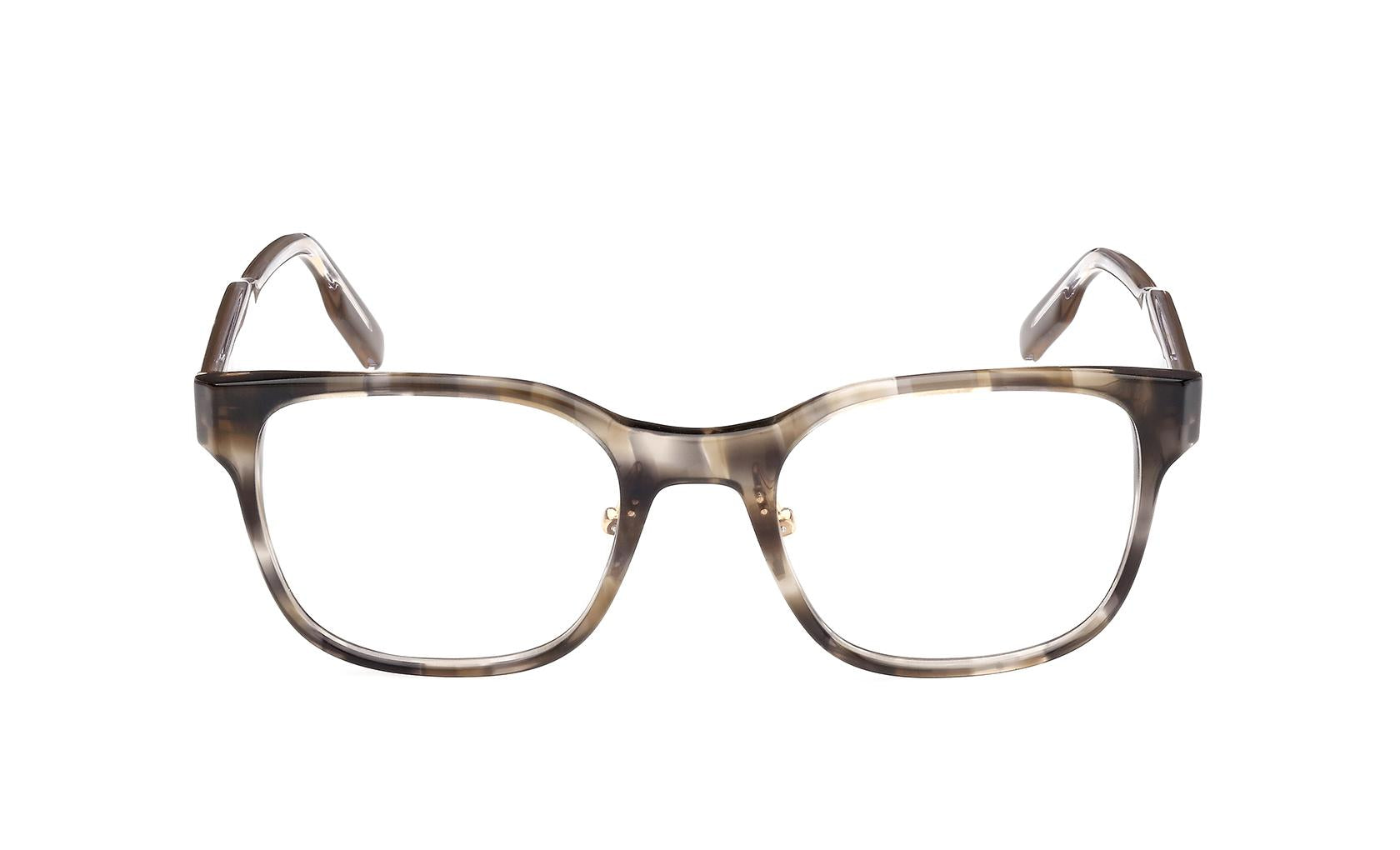 Zegna Eyeglasses EZ5253 098