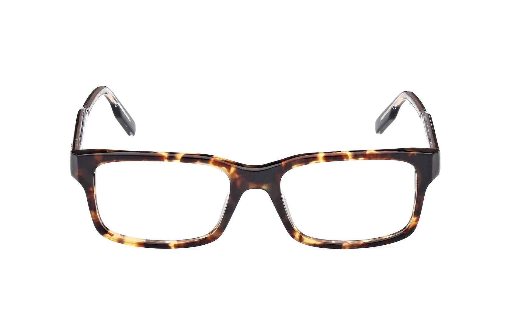 Zegna Eyeglasses EZ5254 054