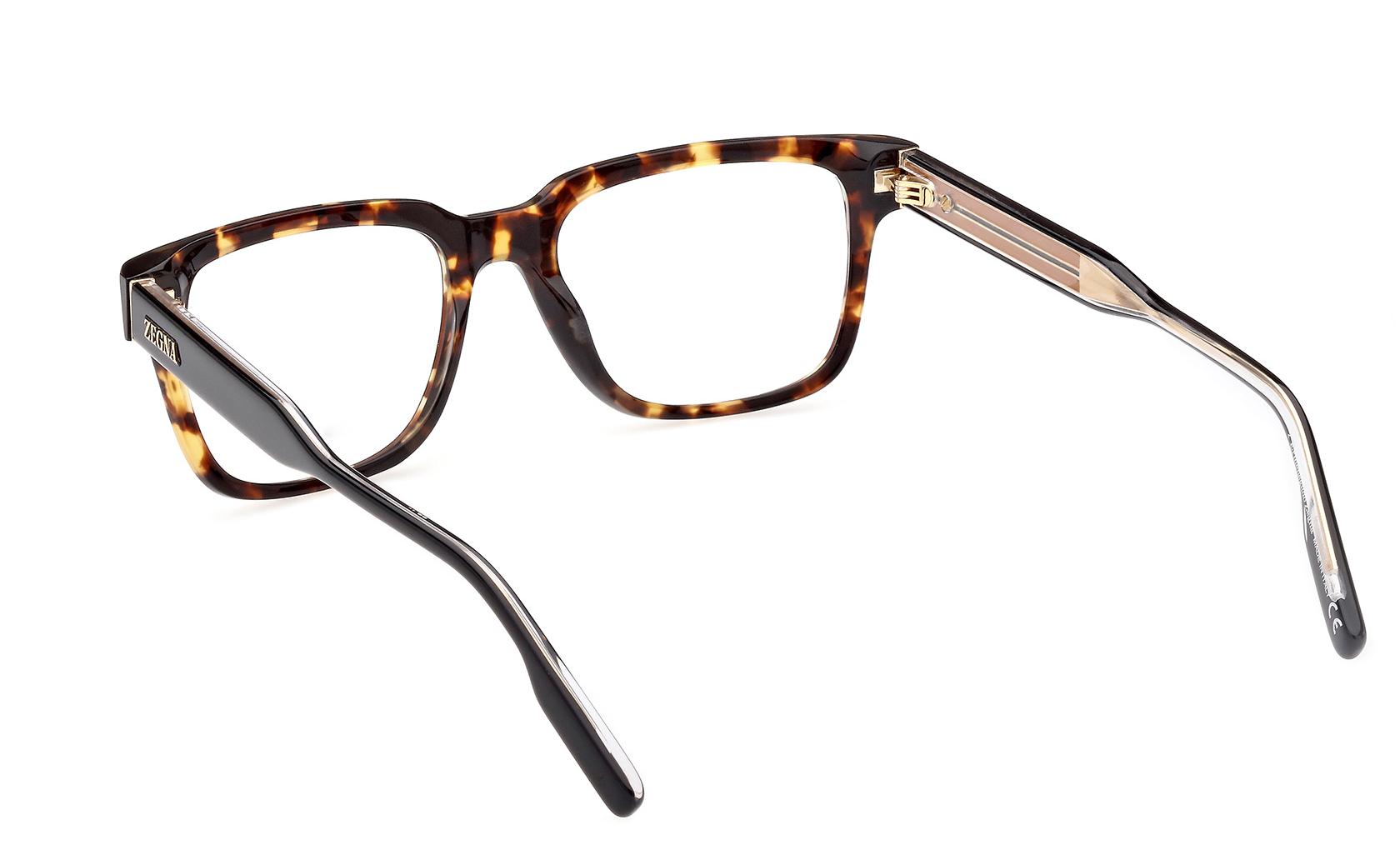 Zegna Eyeglasses EZ5260 054