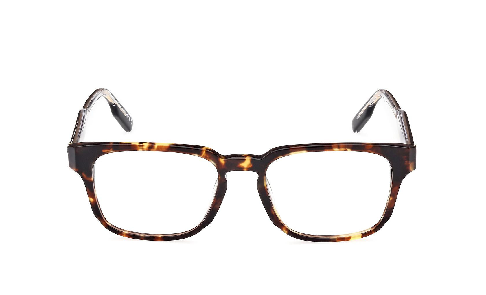 Zegna Eyeglasses EZ5262 054