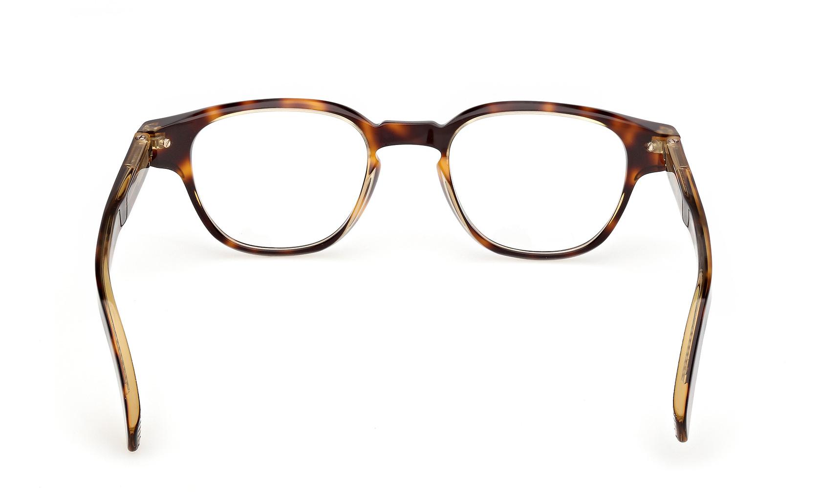 Zegna Eyeglasses EZ5306 056