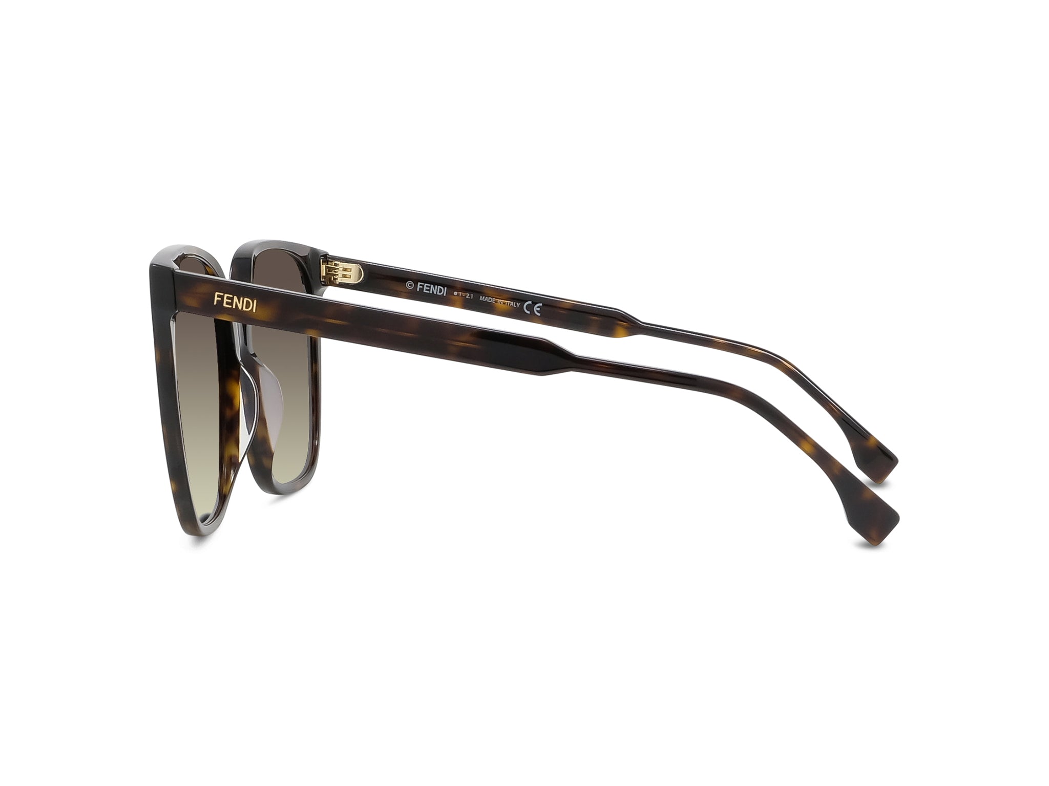 Fendi Fine Havana Geometric Sunglasses