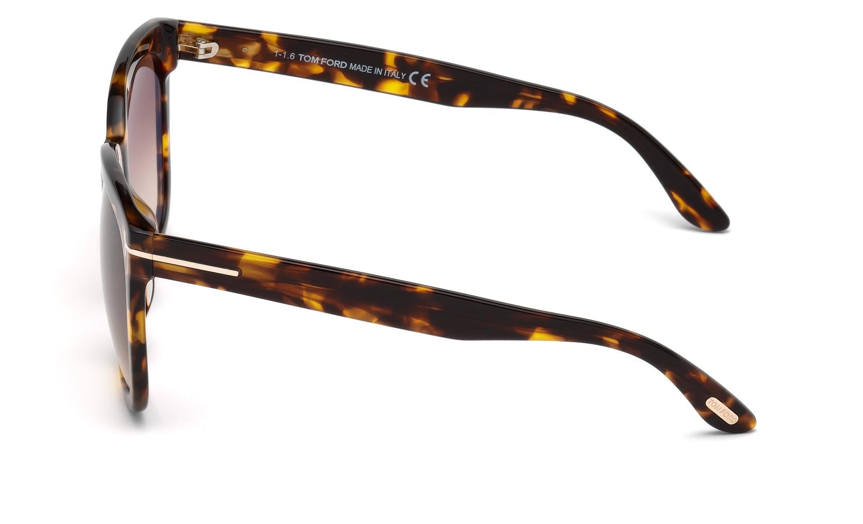 Tom Ford Amarra Sunglasses FT0502 52F