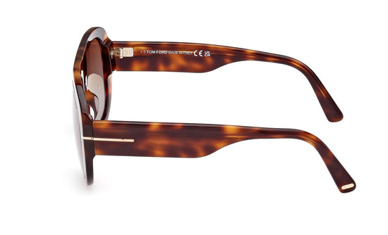 Tom Ford Cecil Sunglasses FT1078 53E