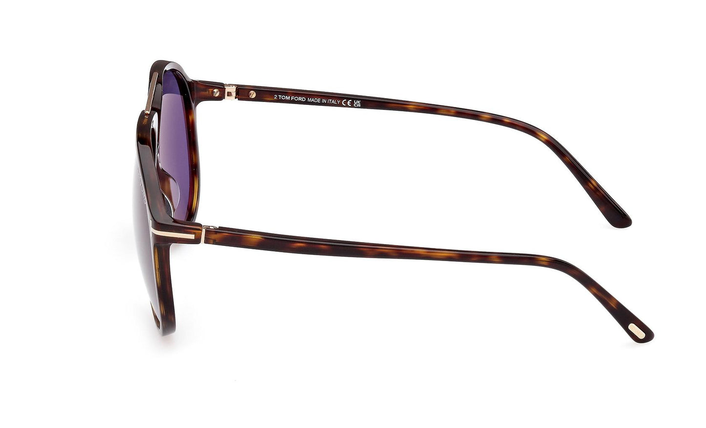 Tom Ford Archie Sunglasses FT1079 52V