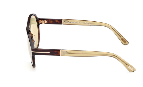 Tom Ford Quincy Sunglasses FT1080 52N