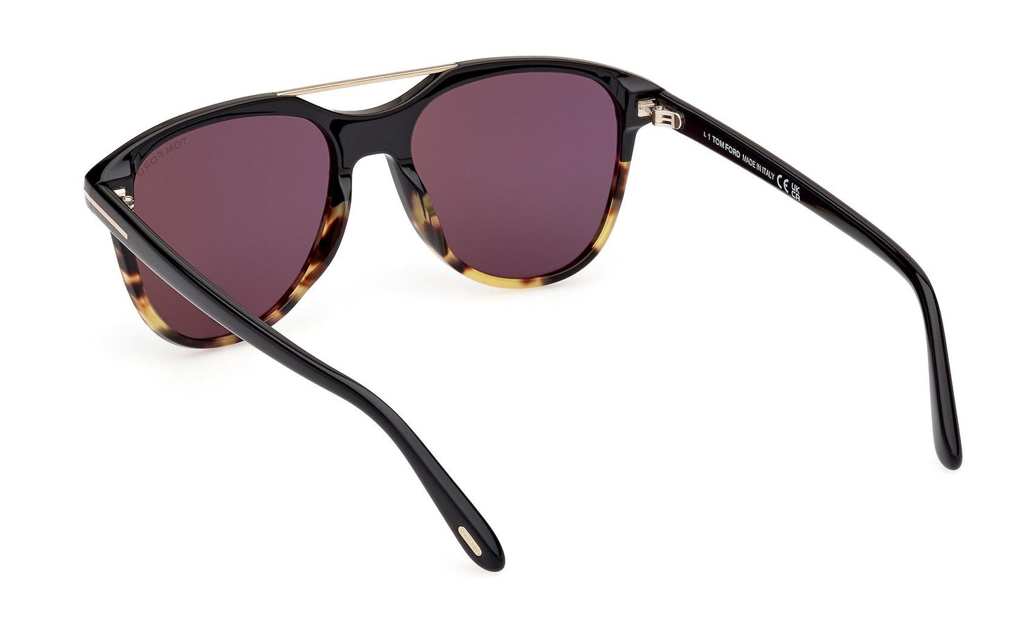 Tom Ford Damian-02 Sunglasses FT1098 05A