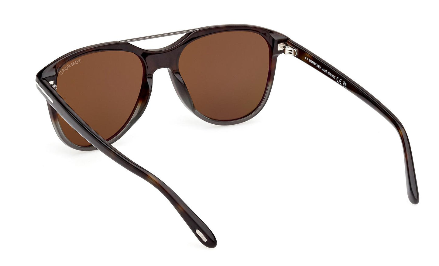 Tom Ford Damian-02 Sunglasses FT1098 55J