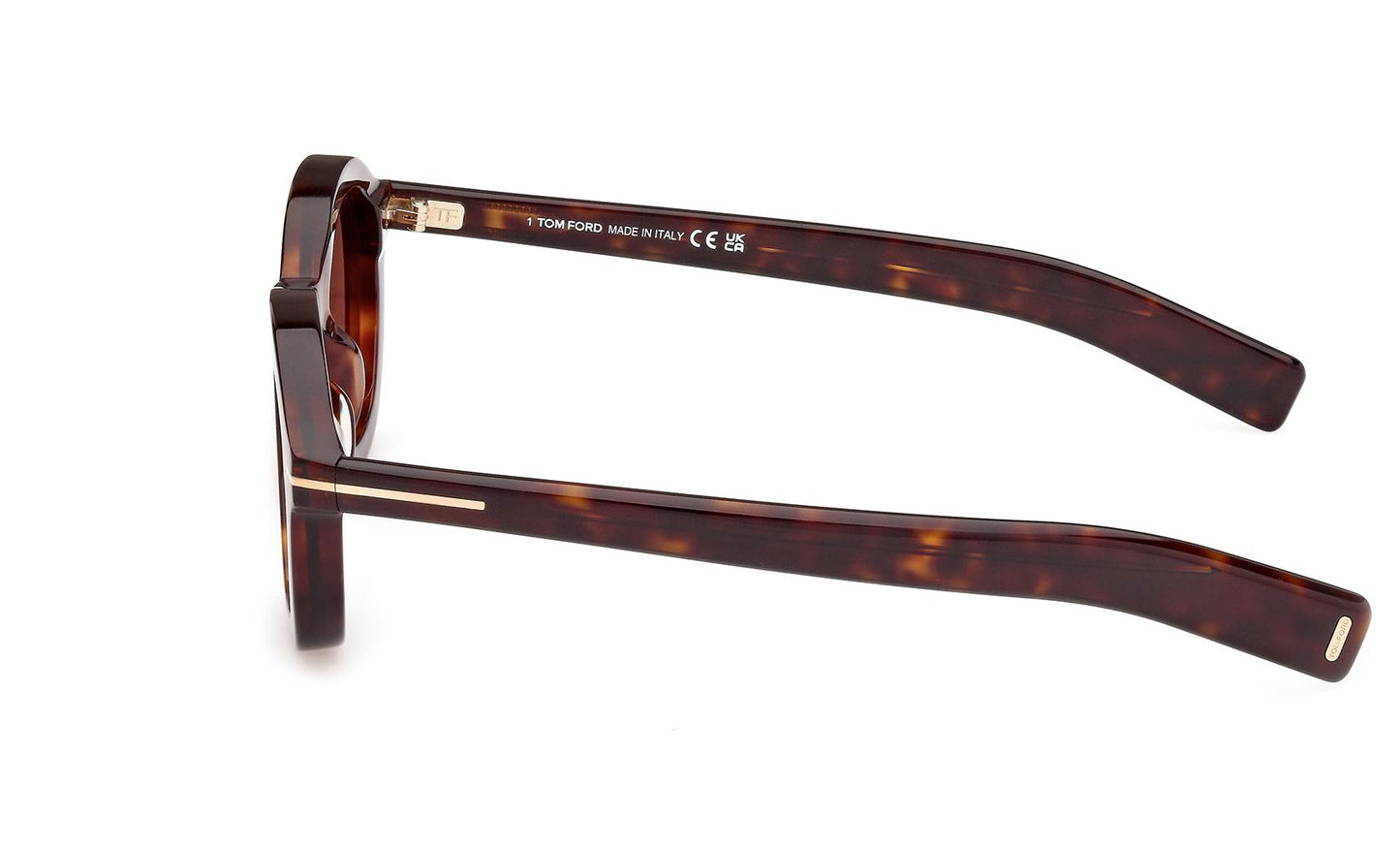 Tom Ford Raffa Sunglasses FT1100 52E