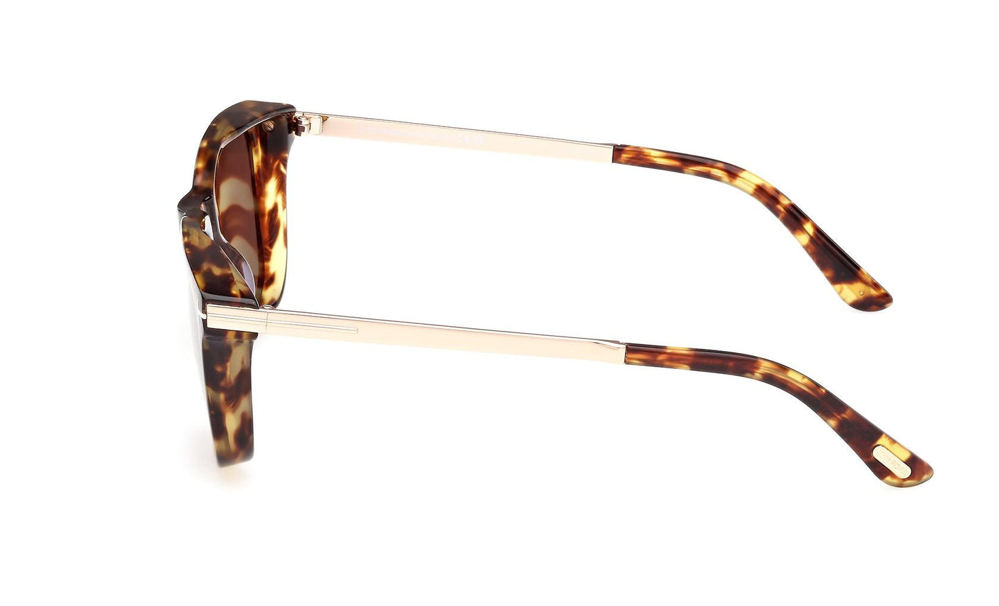 Tom Ford Sinatra Sunglasses FT1104 52E