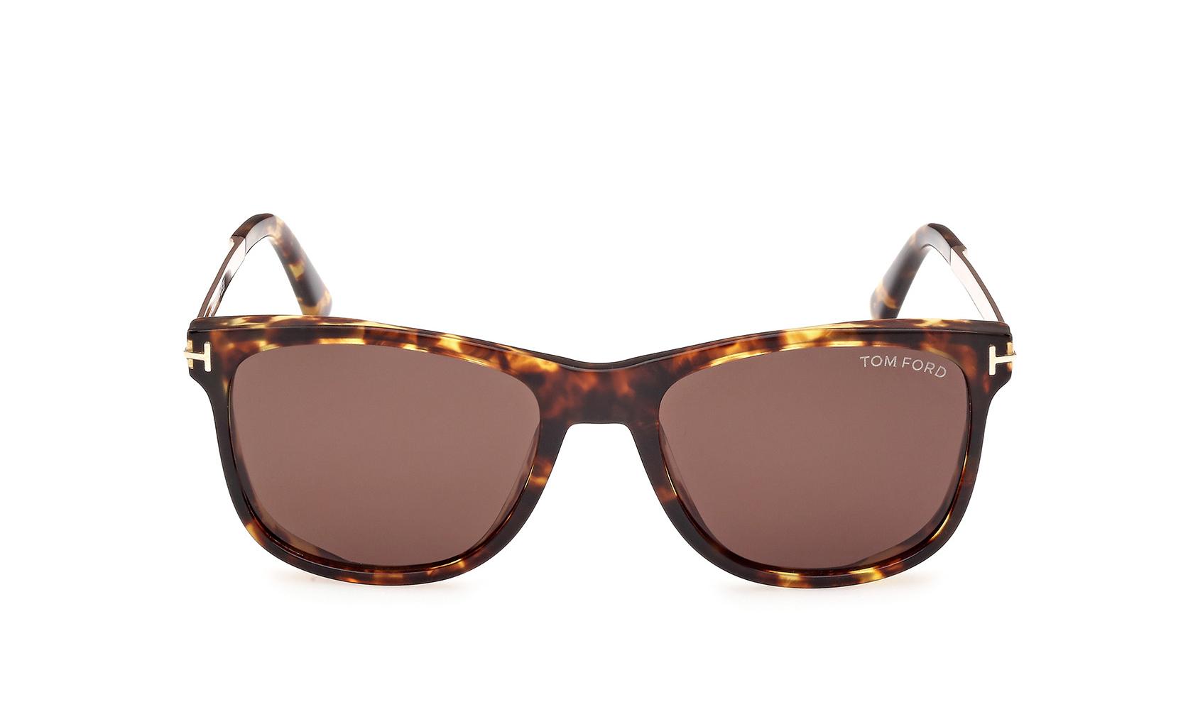 Tom Ford Sinatra Sunglasses FT1104 52E