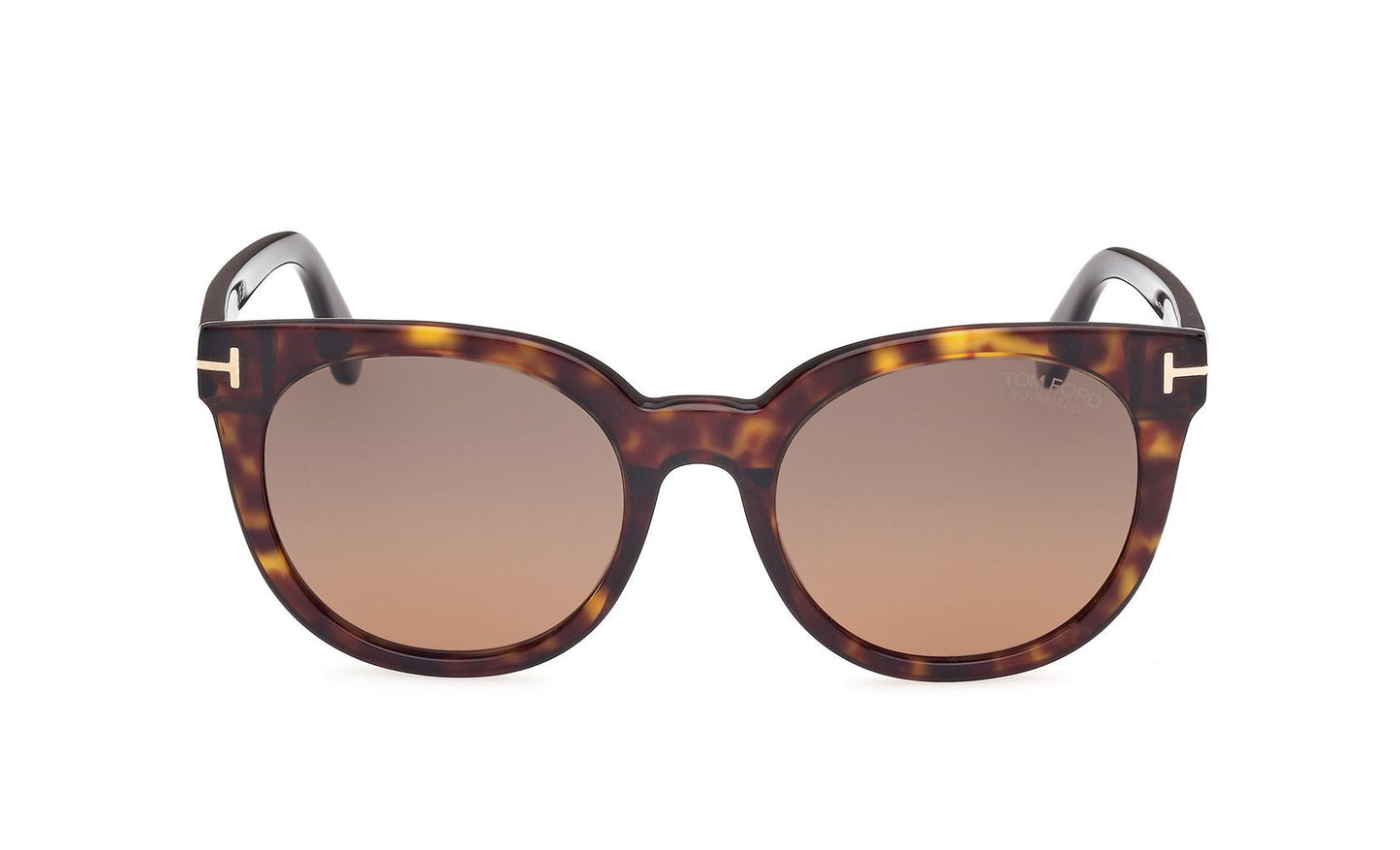 Tom Ford Moira Sunglasses FT1109 52H