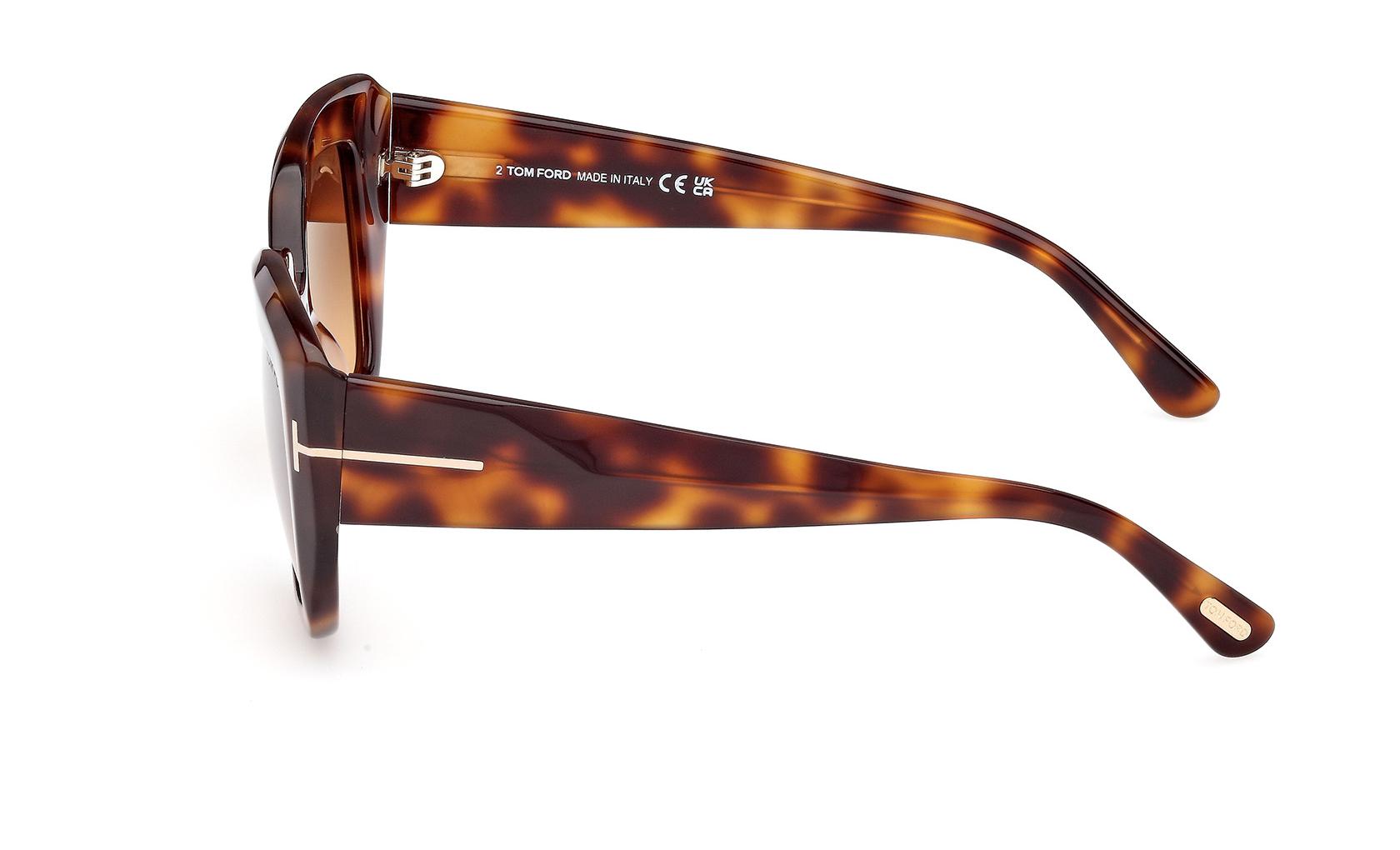 Tom Ford Saltzman Sunglasses FT1192 53F