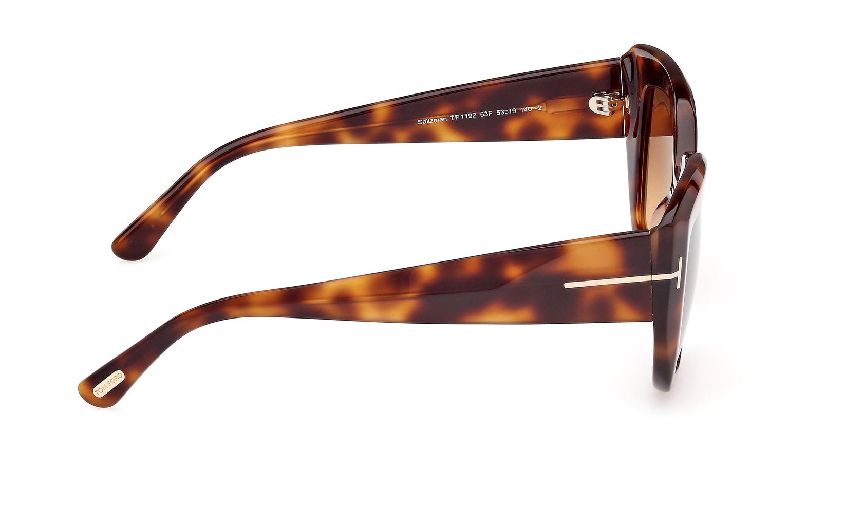 Tom Ford Saltzman Sunglasses FT1192 53F