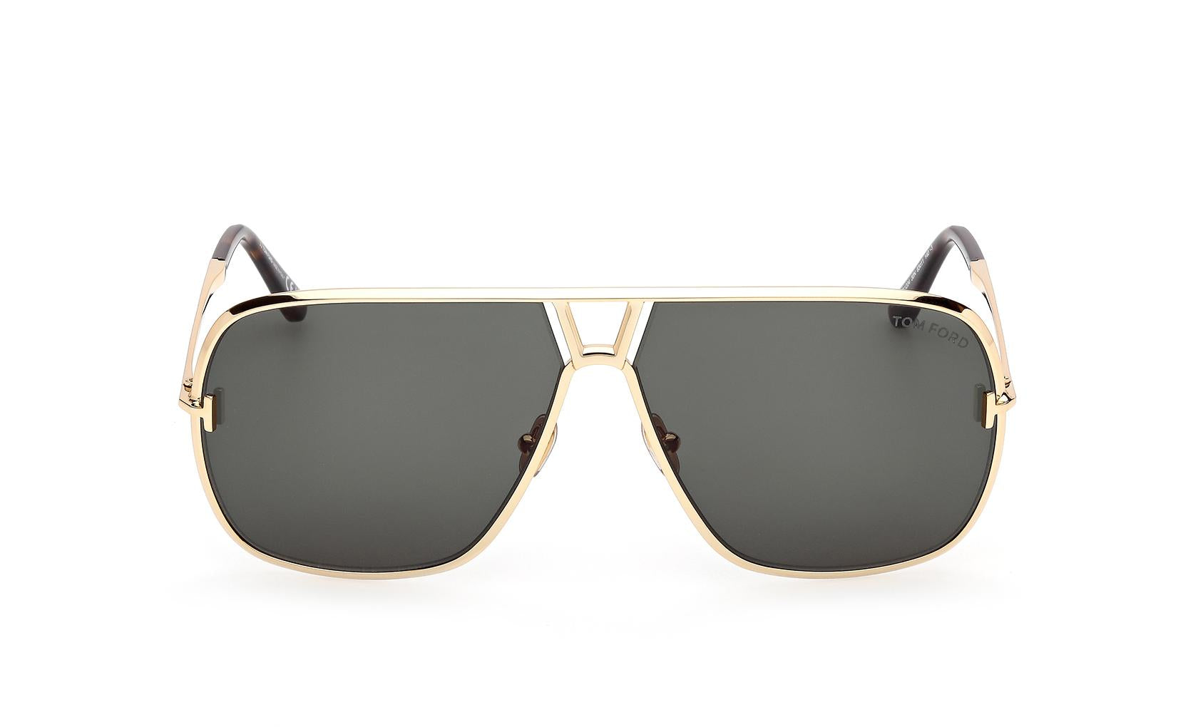 Tom Ford Stavros Sunglasses FT1204 30N