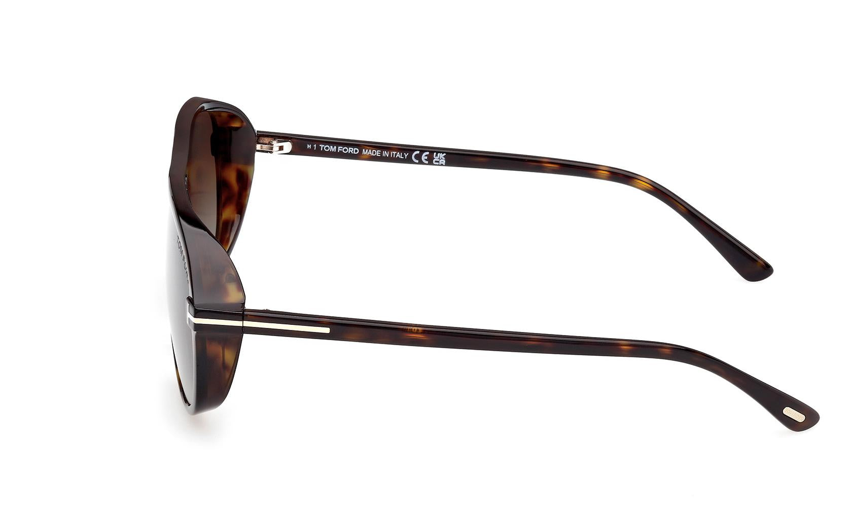 Tom Ford Guillaume Sunglasses FT1208 52K