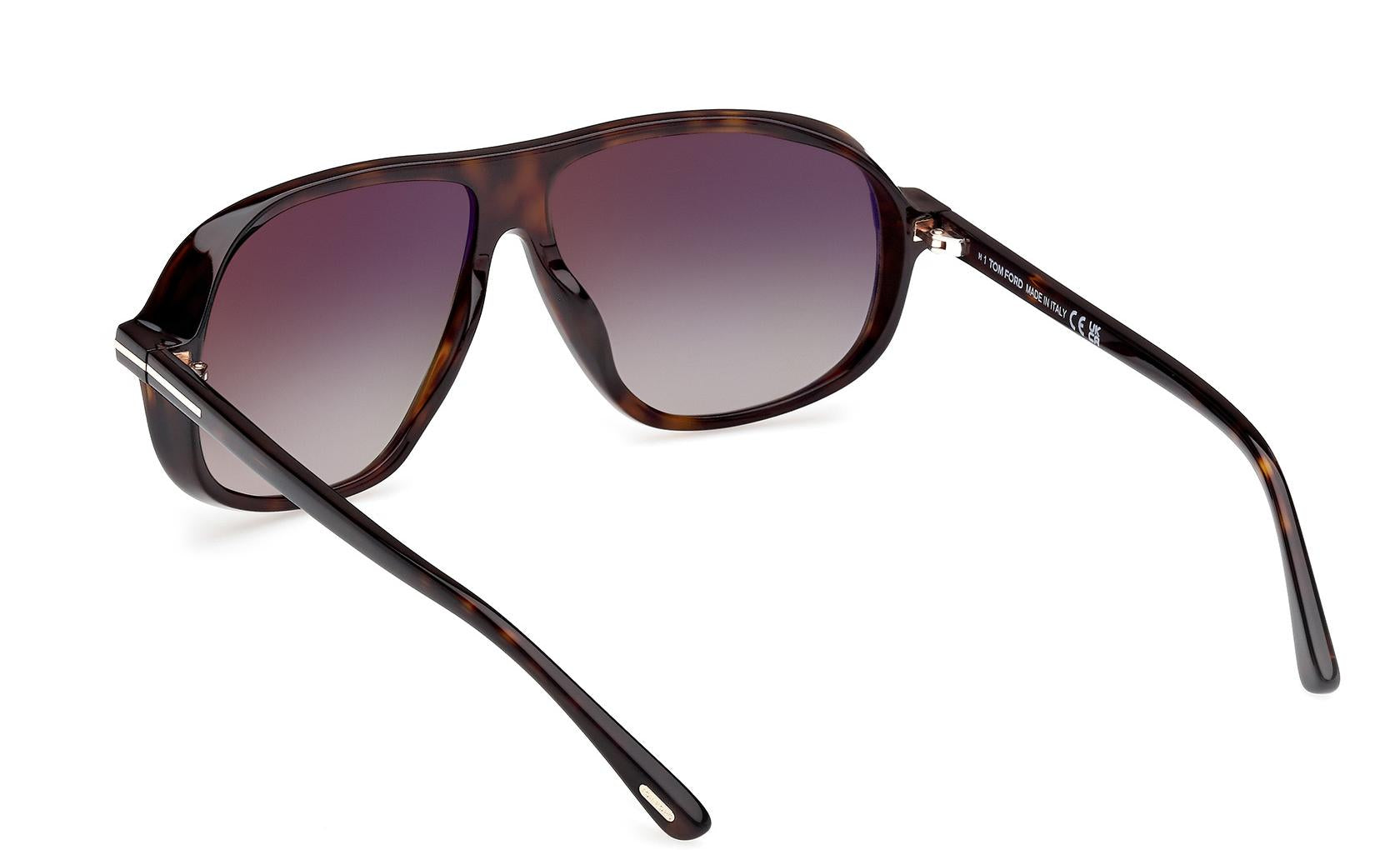 Tom Ford Guillaume Sunglasses FT1208 52K