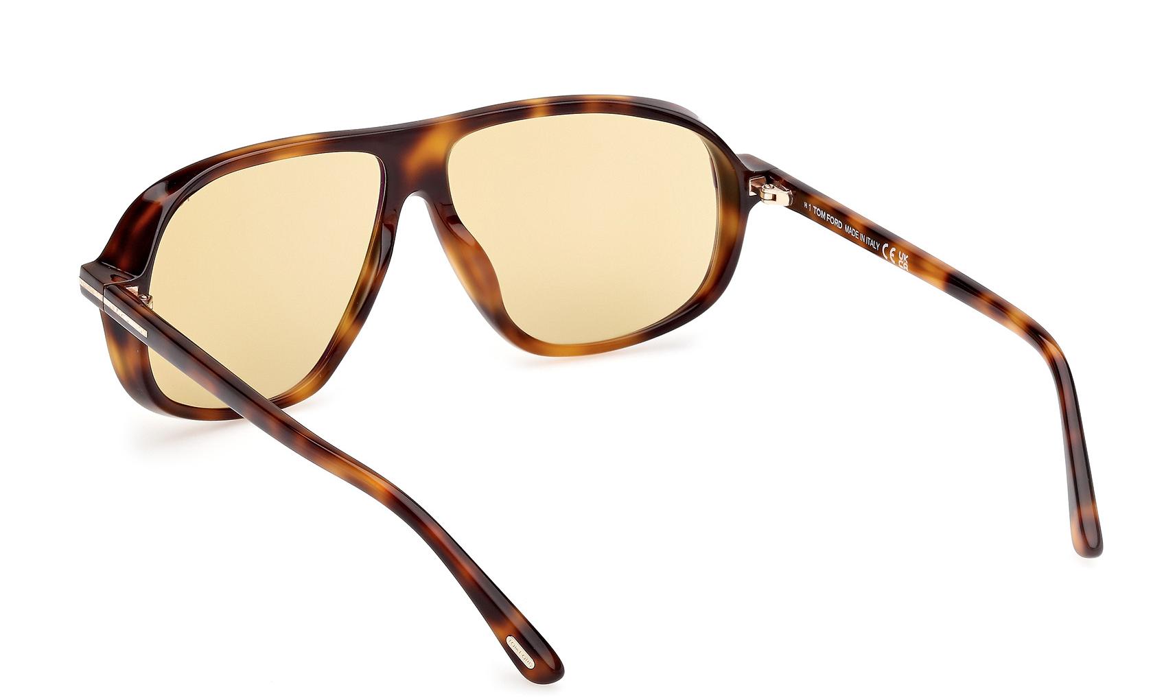 Tom Ford Guillaume Sunglasses FT1208 53E