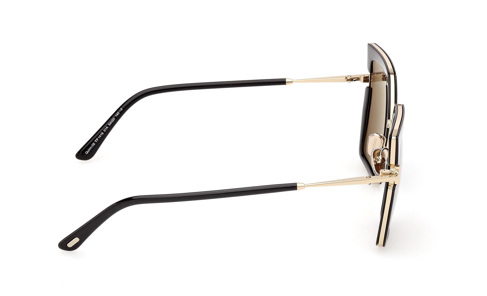 Tom Ford Quinn-02 Sunglasses FT1418 01A