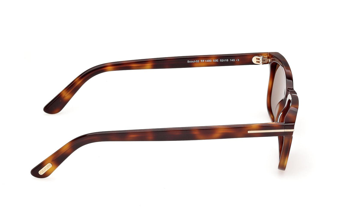Tom Ford Scout-02 Sunglasses FT1480 53E