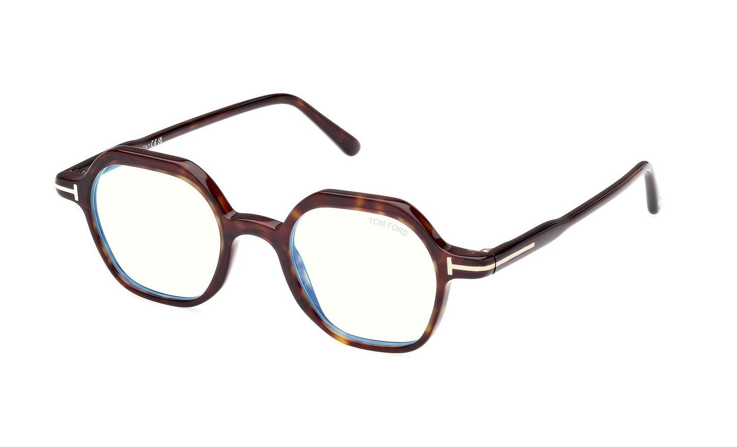 Tom Ford Eyeglasses FT5900/B 052
