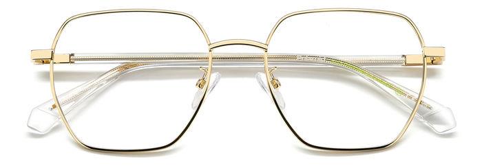 Polaroid Eyeglasses PLDD524/G J5G