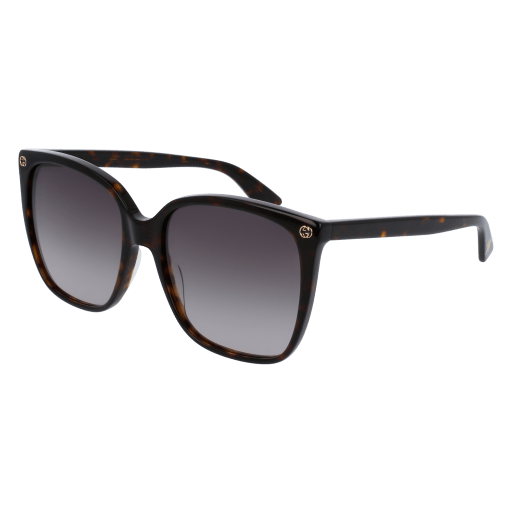 Gucci Sunglasses GG0022S 003