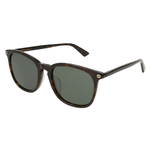 Gucci Sunglasses GG0154SA 002