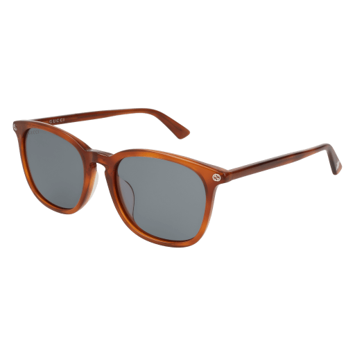 Gucci Sunglasses GG0154SA 003