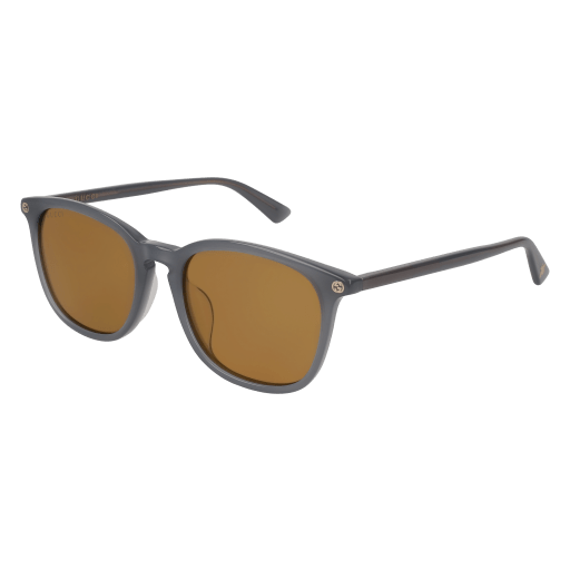 Gucci Sunglasses GG0154SA 004