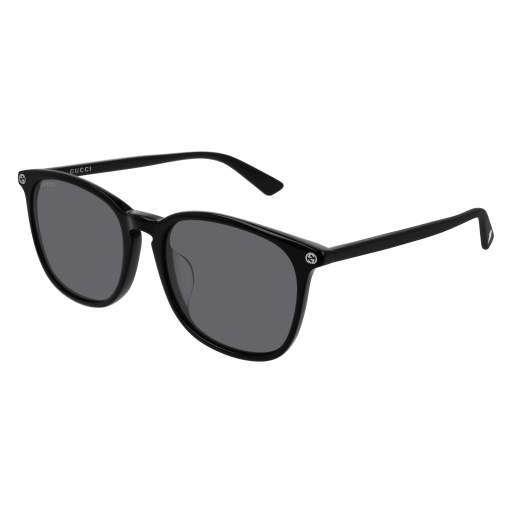 Gucci Sunglasses GG0154SA 005