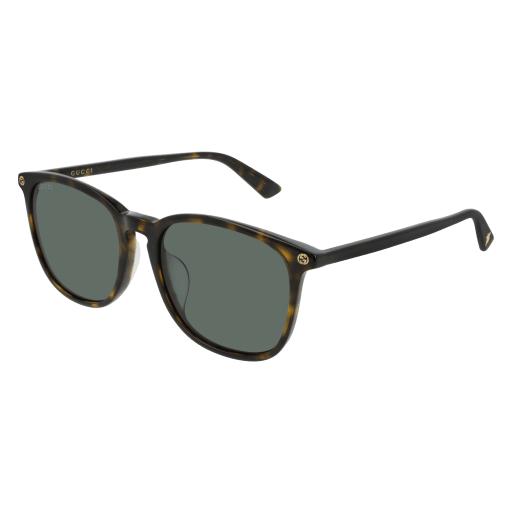 Gucci Sunglasses GG0154SA 006