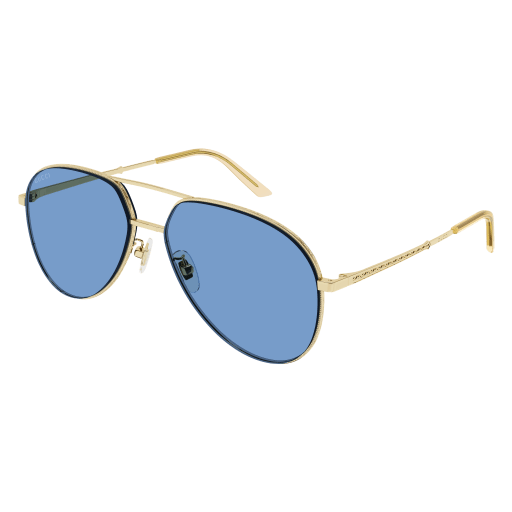 Gucci Sunglasses GG0356S 009