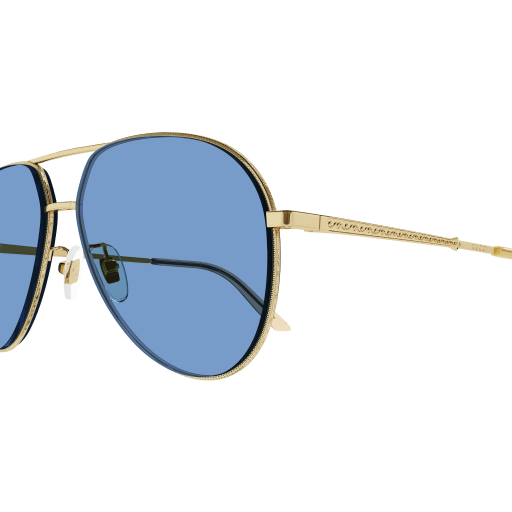 Gucci Sunglasses GG0356S 009