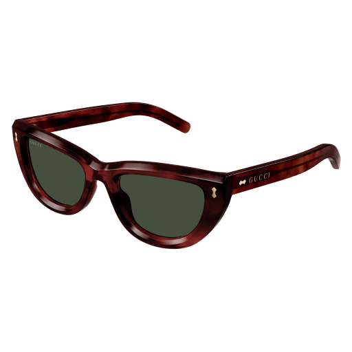 Gucci Sunglasses GG1521S 002