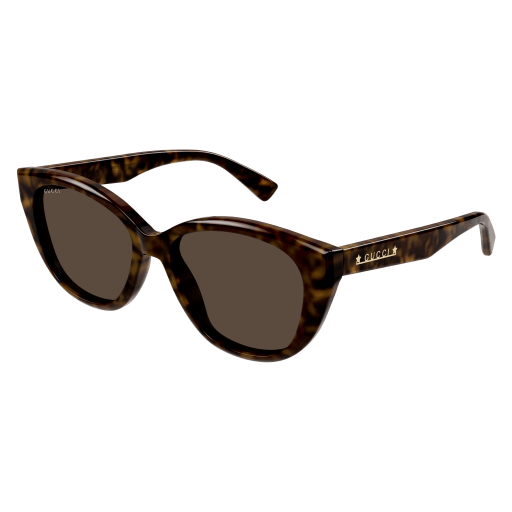Gucci Sunglasses GG1588S 002