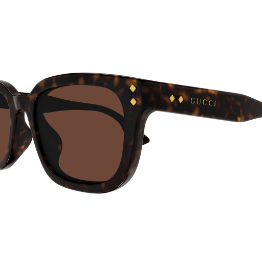 Gucci Sunglasses GG1605SK 002