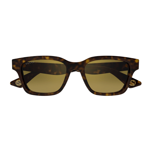 Gucci Sunglasses GG1641SA 002
