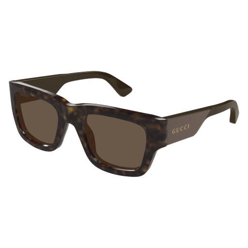 Gucci Sunglasses GG1668S 005