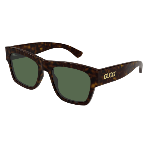 Gucci Sunglasses GG1793S 002