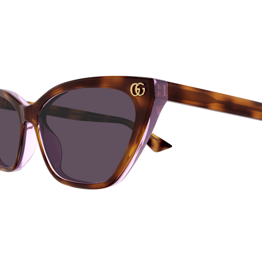 Gucci Sunglasses GG1815S 004