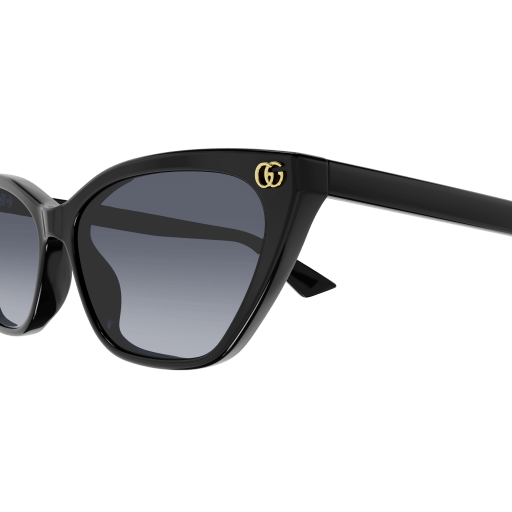 Gucci Sunglasses GG1815S 005