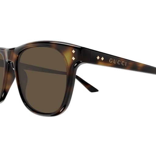 Gucci Sunglasses GG1893S 002