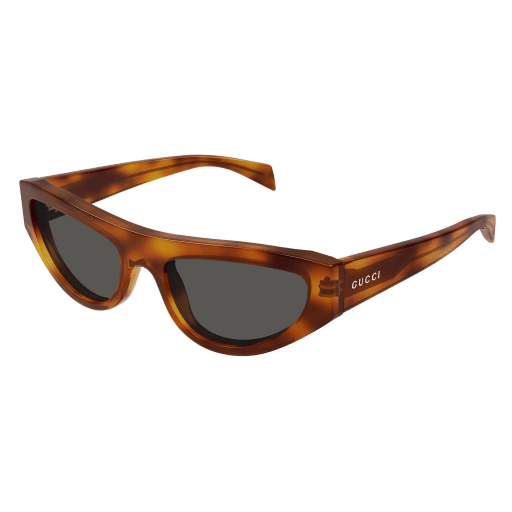 Gucci Sunglasses GG1919S 004