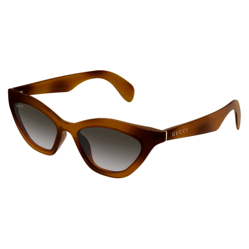 Gucci Sunglasses GG1931S 003