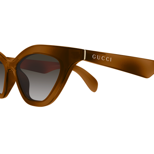 Gucci Sunglasses GG1931S 003
