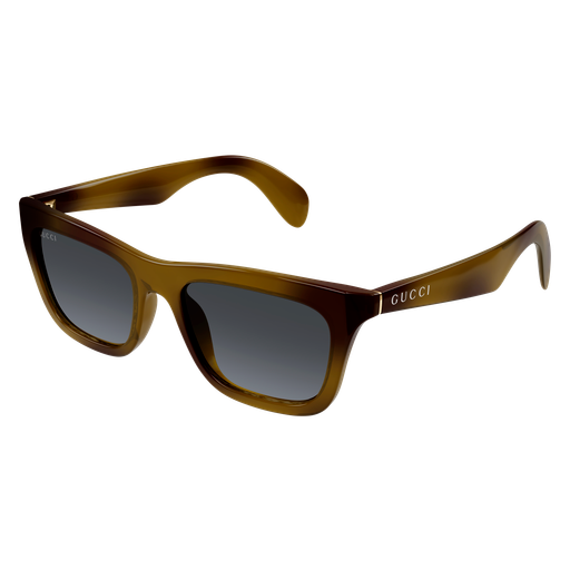 Gucci Sunglasses GG1933S 003