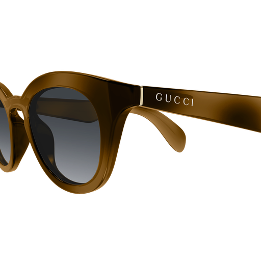 Gucci Sunglasses GG1934S 003