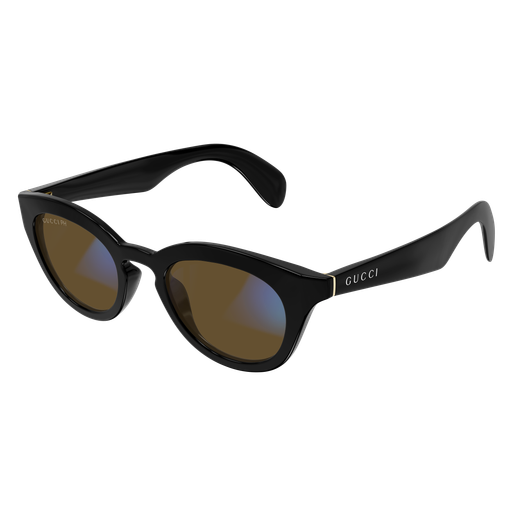 Gucci Sunglasses GG1934S 006