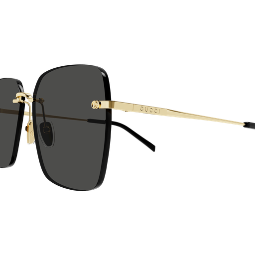 Gucci Sunglasses GG1955SA 001